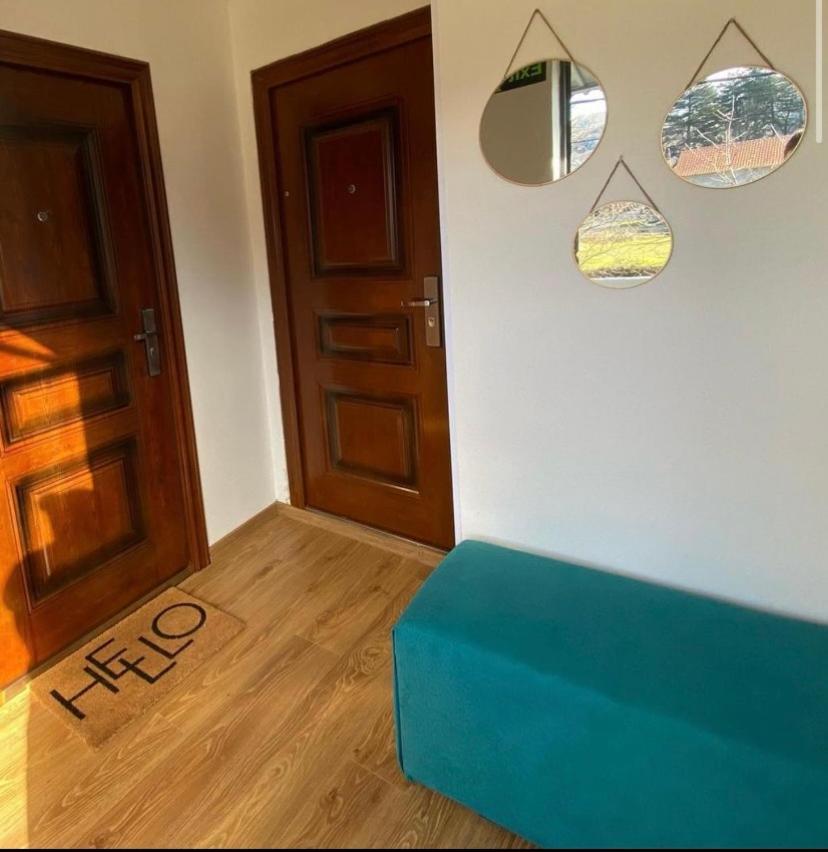 Apartman Vucinic Цетинє Екстер'єр фото